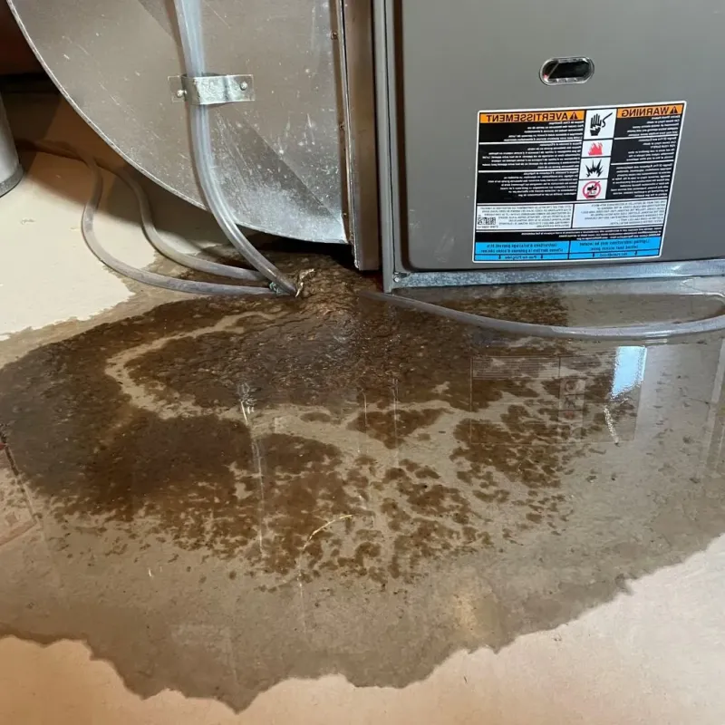 Pipe Burst and Leak Restoration in Garfield County, MT