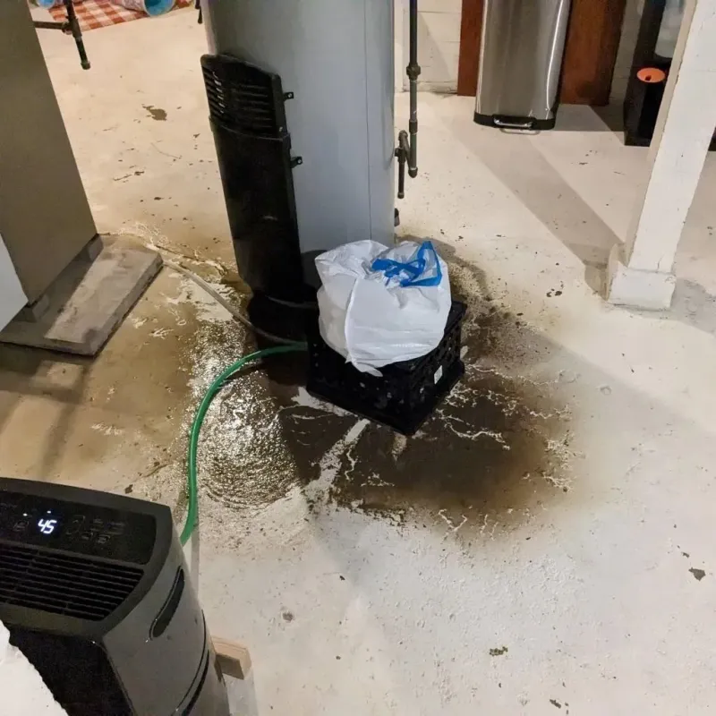 Sewage Backup Cleanup Service in Garfield County, MT